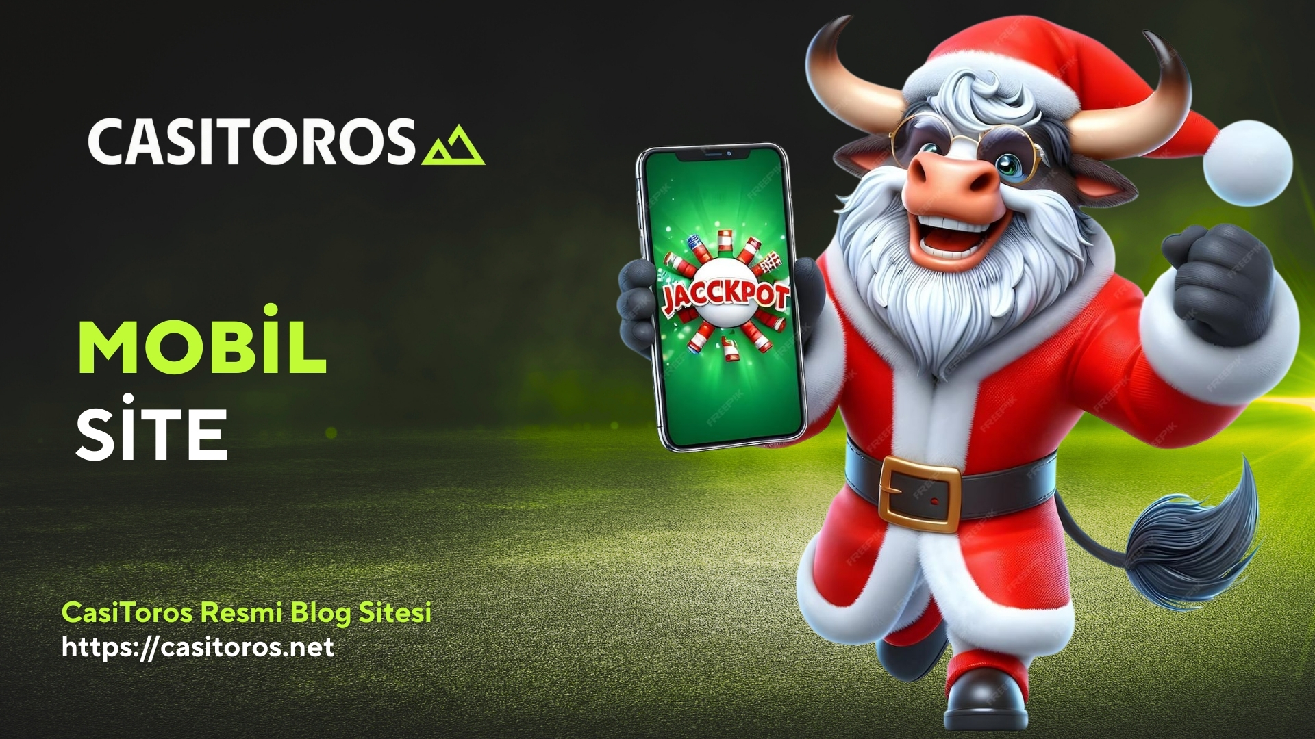 Casitoros Mobil Site